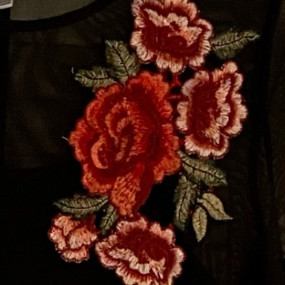 Beautiful Sheer Little Black Dress with Red Roses - Picture 4 of 7